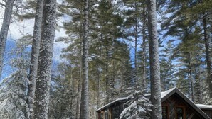 Una cabaña de madera con techo nevado, rodeada de altos pinos en un bosque cubierto de nieve.