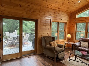 Smart TV, fireplace, DVD player, video library