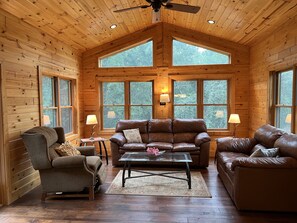 Smart TV, fireplace, DVD player, video library