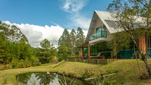 Una casa moderna con un estanque, rodeada de exuberante vegetación y altos árboles.