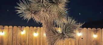Oasis of Mara Home- Joshua Tree N.P. - Heated Pool