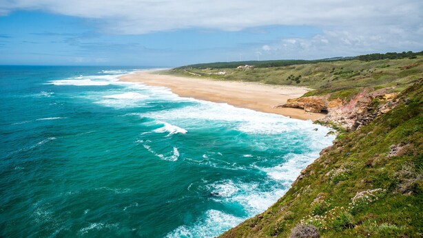 A coastal landscape with a beach, ocean waves, and a grassy hillside.