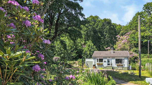 A small, single-story house with a tiled roof, surrounded by lush greenery and flowering plants.