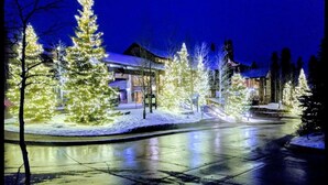 Lumipeitteinen maisema, jossa on valaistuja puita ja lumihunnun peittämä rakennus.
