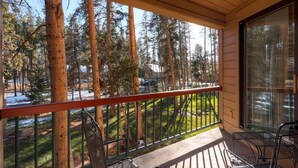 A wooden porch with a metal railing, overlooking a snowy landscape with tall trees and a road. - North Keystone 1 Bedroom Near Conference Center (Keystone)