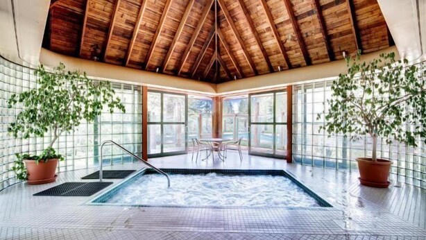 Una piscina interna con soffitto in legno, ampie finestre e piante in vaso.