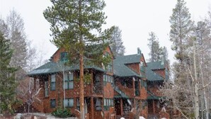 Un grande edificio in mattoni, su più piani, con un tetto spiovente, immerso tra alberi e in un paesaggio innevato.