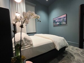 1 chambre, literie hypoallergénique, fer et planche à repasser