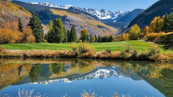 Studio (Grand Hyatt Vail Hotel Room with 2 Qu) | Exterior