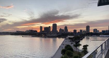 Dream Vacation Home w/heated pool near Clearwater&St. Pete/beaches quiet