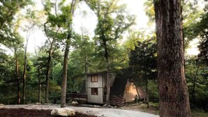 Une cabane rustique située dans une forêt, avec un sentier de terre qui y mène.