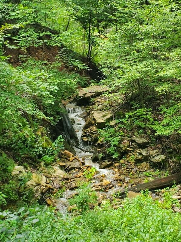 Una pequeña cascada en un área boscosa y verde.