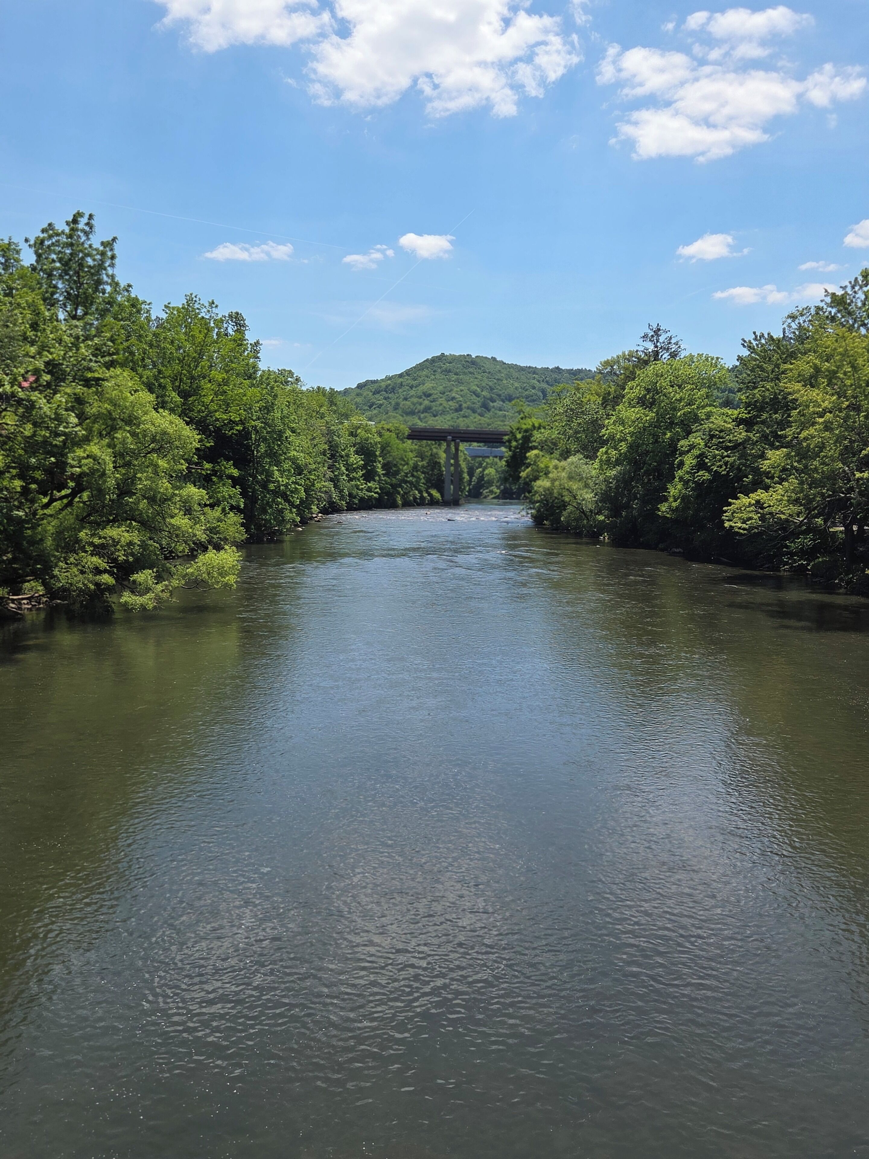A river with a bridge, surrounded by dense greenery and a hill in the background.