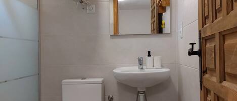 A bathroom with a toilet, sink, and shower.