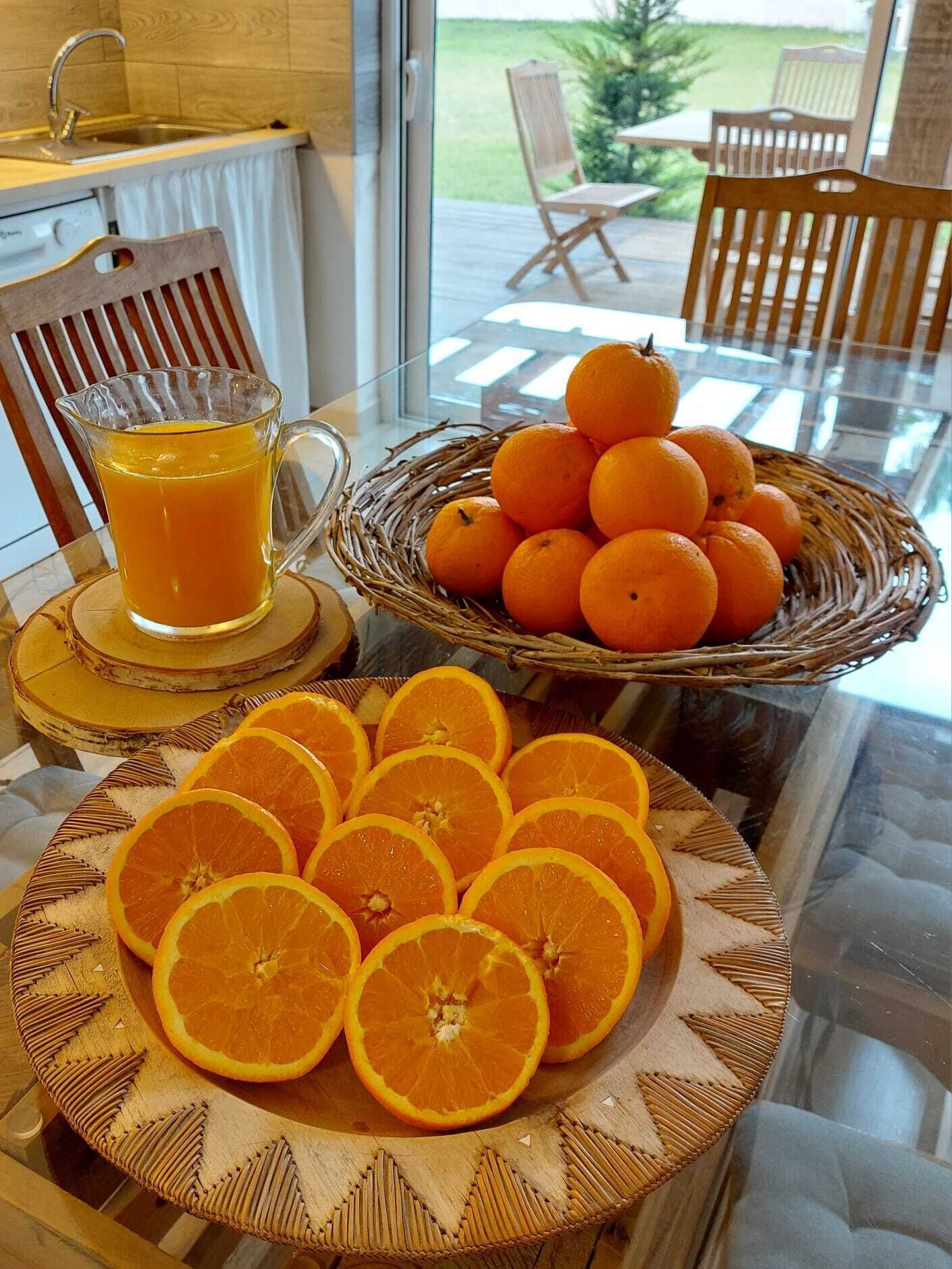 A breakfast setting with a glass table, a wicker basket of oranges, a plate of orange slices, and a glass of orange juice.