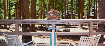 Quiet & Cozy North Lake Tahoe Mountain Getaway