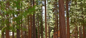 Quiet & Cozy North Lake Tahoe Mountain Getaway