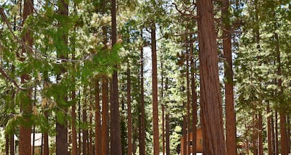 Quiet & Cozy North Lake Tahoe Mountain Getaway