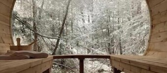 Muskoka Gem on 5 Acres of Enchanted Forest w/Panoramic Sauna!