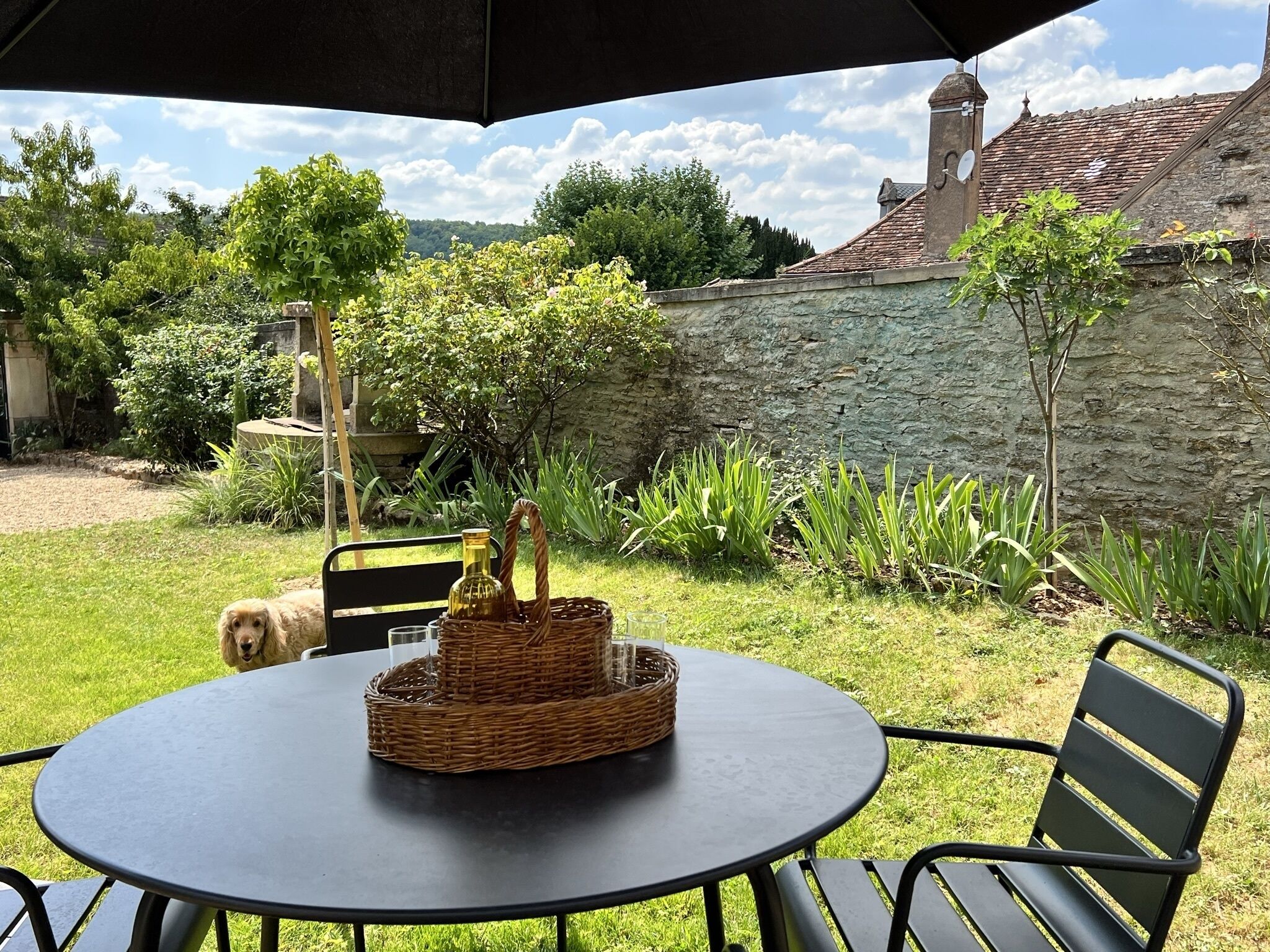 An outdoor seating area with a round table and chairs, a wicker basket with a bottle, and a dog in the background.