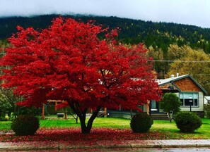 Front of property - Fall Line Guesthouse (Revelstoke)
