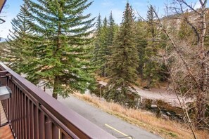 Condo (1 Bedroom in Lionshead Village - Antl) | Exterior