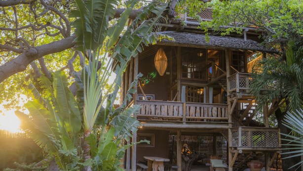 Un edificio de madera rústico con un balcón, rodeado de plantas tropicales.