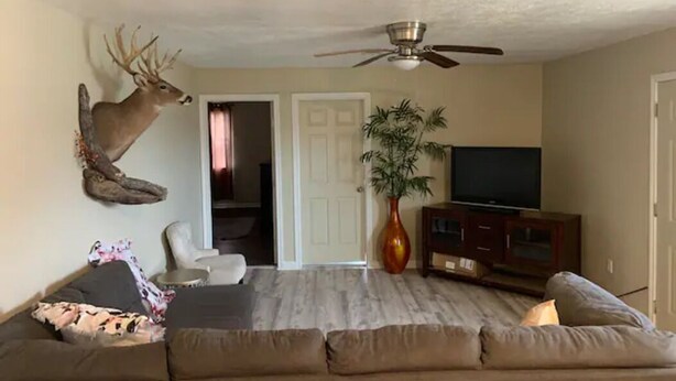 Un salon comprenant un canapé, un téléviseur, un ventilateur de plafond et une décoration représentant une tête de cerf.