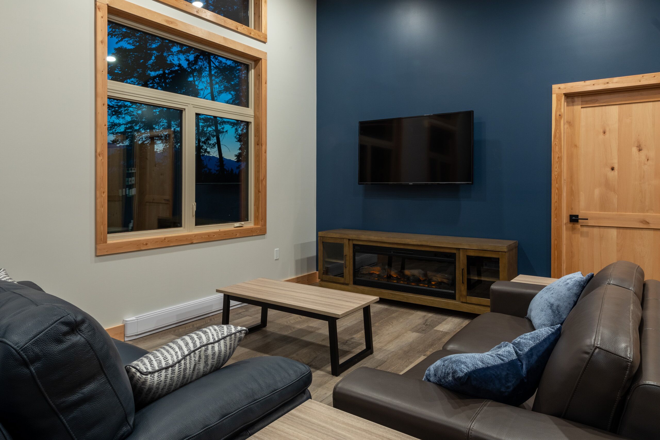 Smart TV, fireplace, DVD player, books