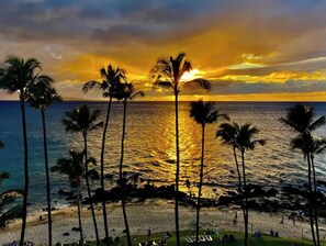 Beach/ocean view