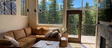 Smart TV, chimenea y libros