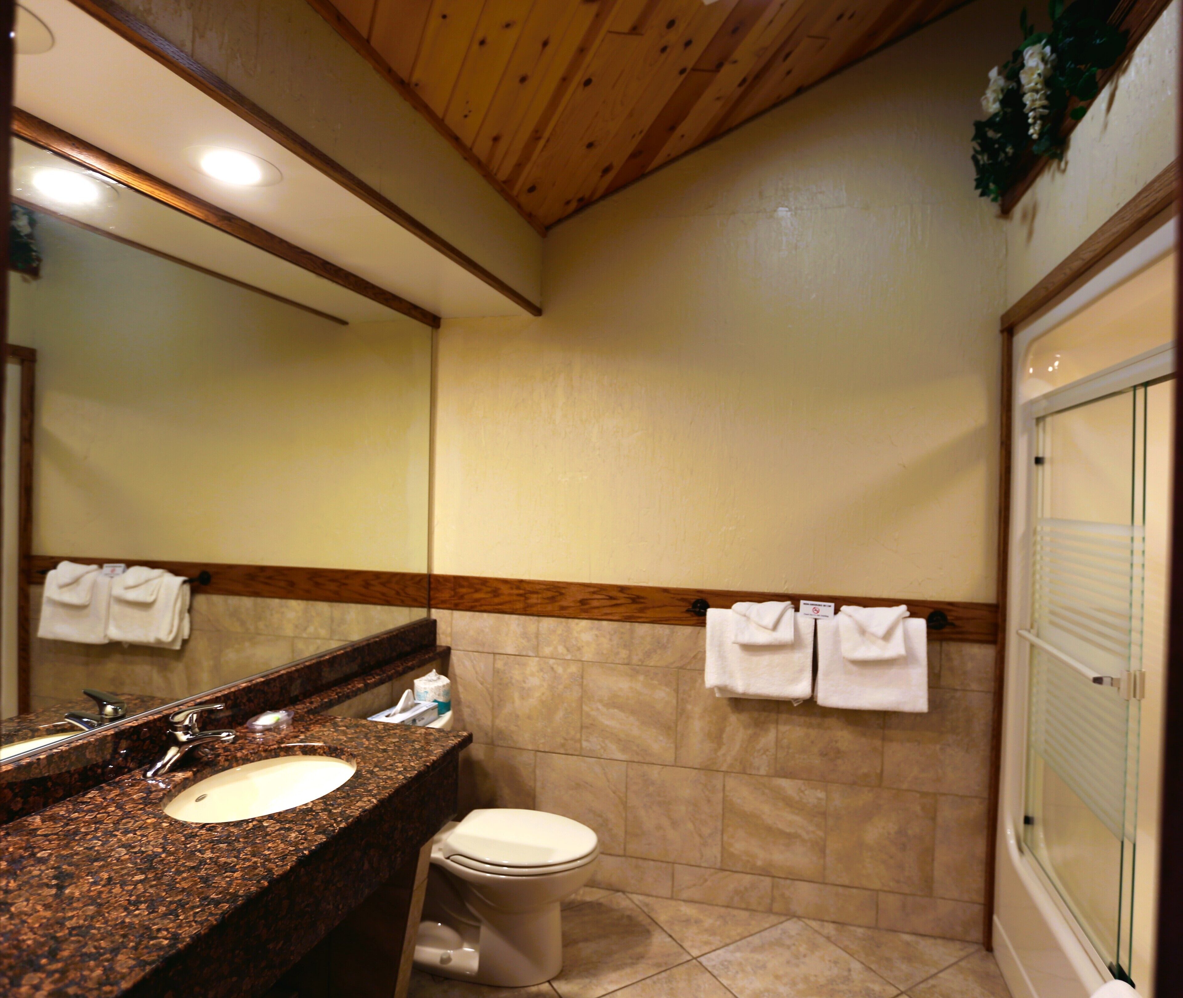 A bathroom with a granite countertop sink, a toilet, and a glass shower enclosure.