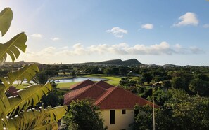 Vista de uma área residencial com casas, um lago e uma paisagem montanhosa.