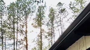 A wooden building with a balcony, a door, and a window. - Bear Treehouse - An acre of cool pines, AC, walking distance to fun! (Munds Park)