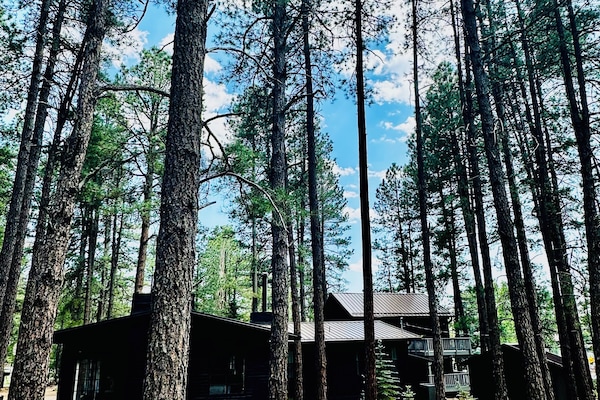 Large front deck and outdoor propane grill.