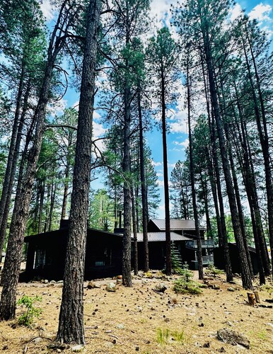 Bear Treehouse - 1.23 acres of cool pines and walking distance to fun!