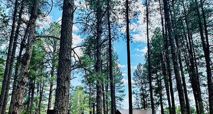 Bear Treehouse - 1.23 acres of cool pines and walking distance to fun!