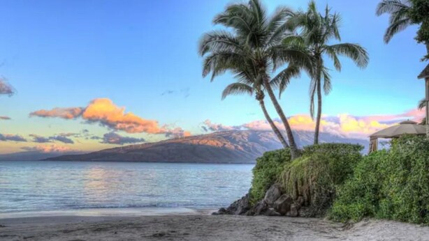 A beach with palm trees, a clear sky, and a distant mountain range. - Tracy's Tropical Treasure #2 earned "Best in Kihei" four times and “#1 in Maui” (Kihei)
