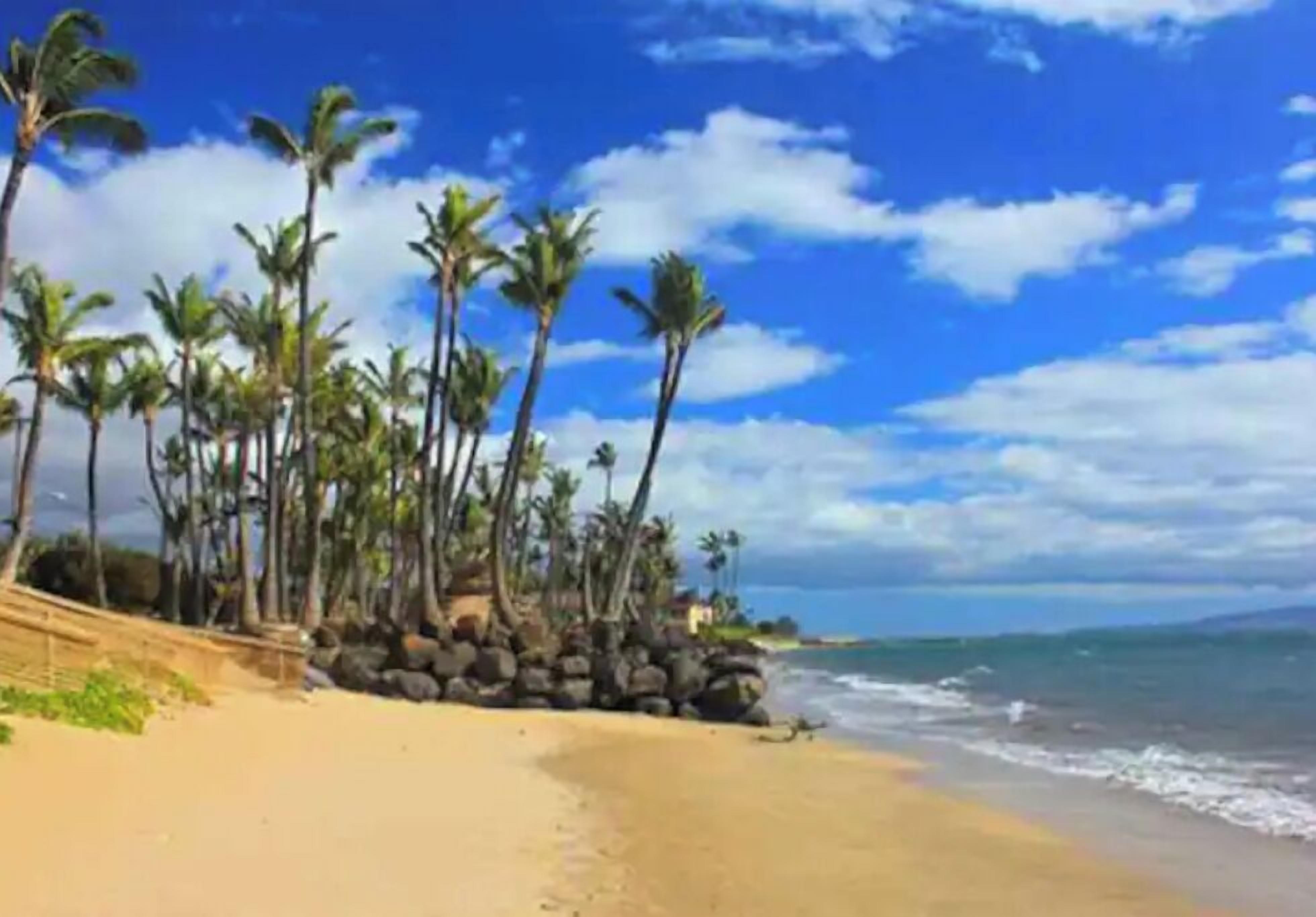 Beach nearby, sun loungers, beach towels