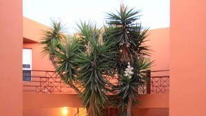 A multi-level interior with a staircase, a palm tree, and a potted plant. - Hotel Elotia (Chania)