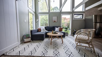 Smart TV, fireplace, books