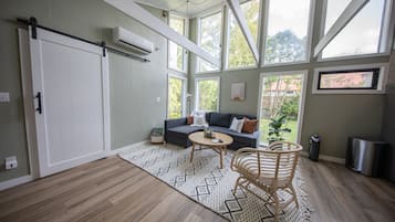 Smart TV, fireplace, books