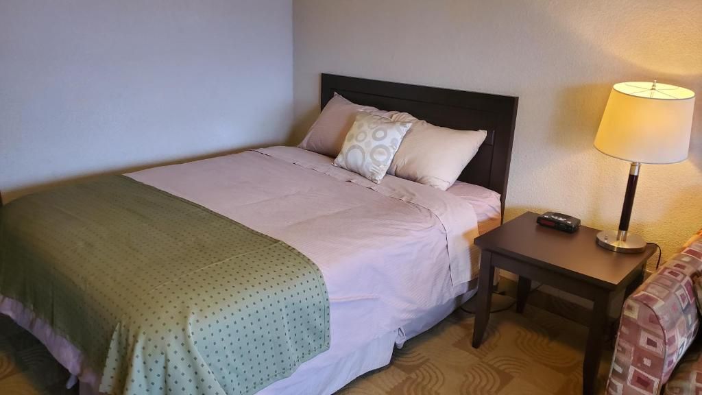 A single bed with a headboard, a bedside table with a lamp, and a patterned throw blanket.