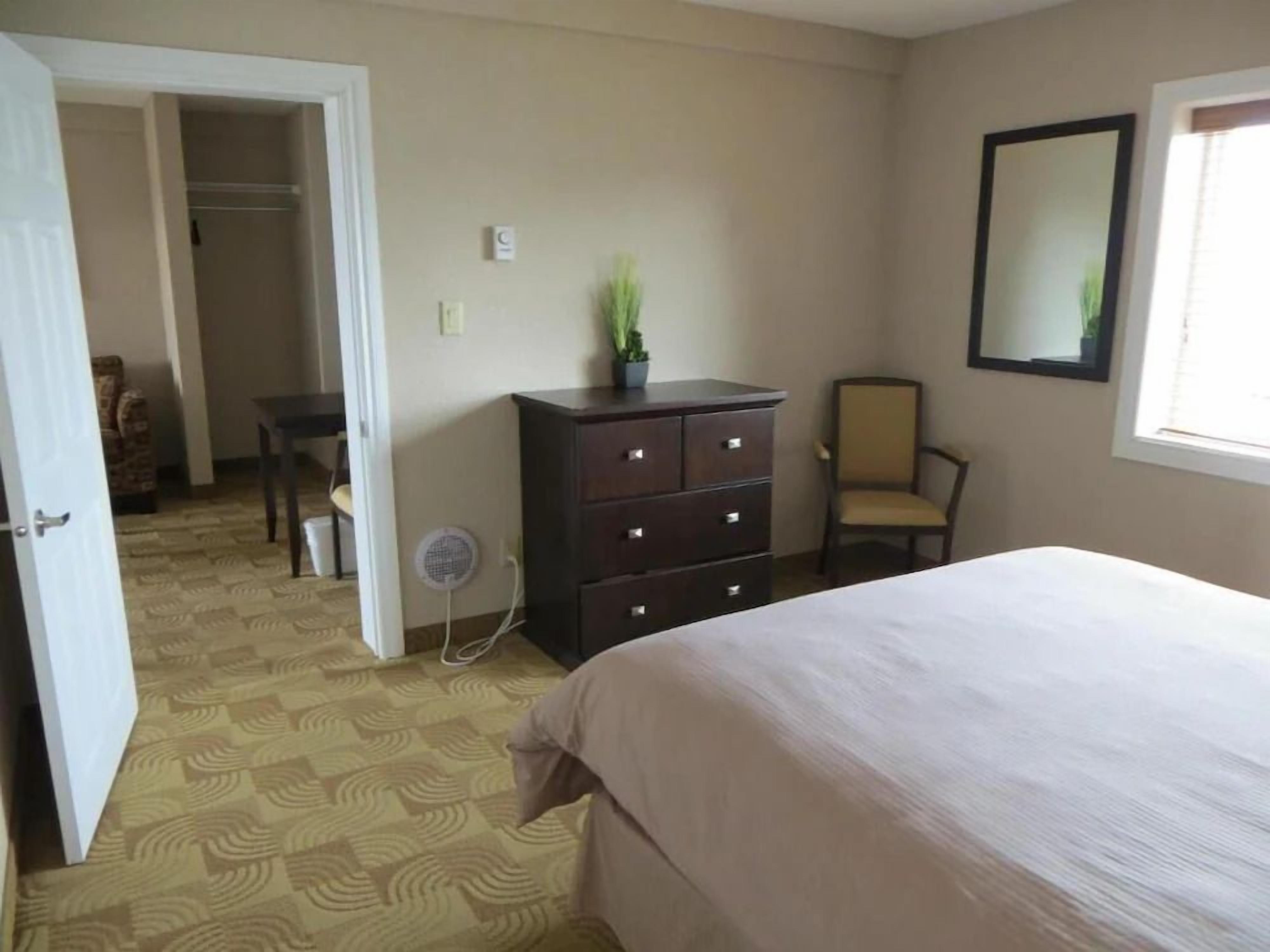 A bedroom with a bed, a dresser, a chair, a potted plant, and a window.