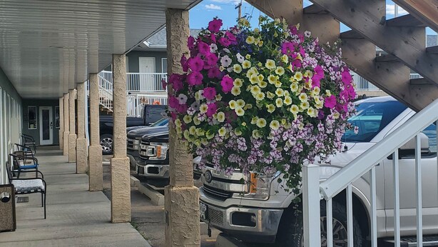 A covered parking area with a row of parked vehicles, a flower arrangement, and a building with a balcony in the background. - Shoreside Inn & Suites (Wabamun)