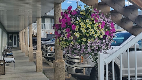 Front of property. Shoreside Inn & Suites