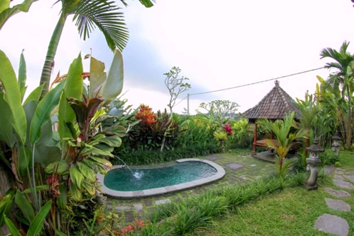 Um jardim com uma piscina pequena, cercado por diversas plantas e um gazebo.