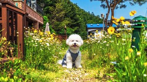 En vit hund sitter i en trädgård med blommor och en träkonstruktion.