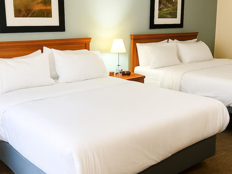 Basic Double Room | Laptop workspace, iron/ironing board, cribs/infant beds, free WiFi