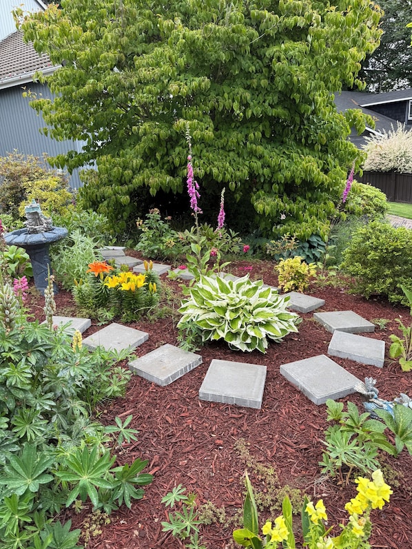 Un jardin où l’on trouve une variété de plantes, un abreuvoir pour oiseaux et des pas japonais.